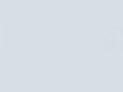 Mank Airlaid Tischset Cristal In Weiss, 40 X 30cm, 100 Stück - Weihnachten Platzdeckchen Ornamente -Weihnachten Schmücken Geschäft 1e3ccd47 d0ff 4ea5 a4d2 0a08509ca662