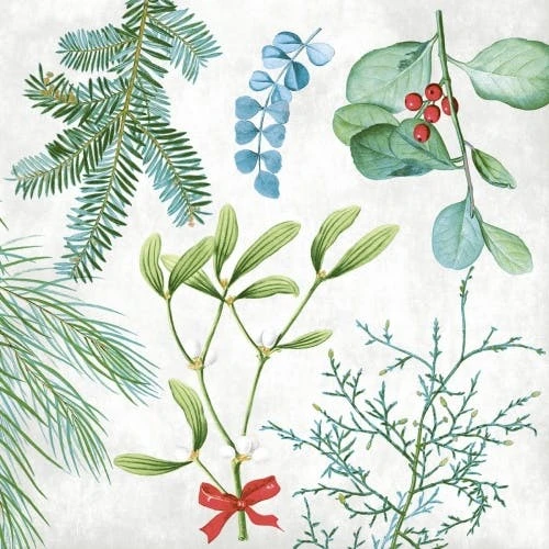 Mank Airlaid Serviette Amaryllis, 40 X 40 Cm, 50 Stück - Weihnachten Xmas 3 Mank Airlaid Serviette Amaryllis, 40 X 40 Cm, 50 Stück - Weihnachten Xmas – Bild 3