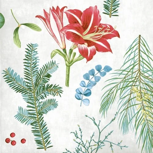 Mank Airlaid Serviette Amaryllis, 40 X 40 Cm, 50 Stück - Weihnachten Xmas 5 Mank Airlaid Serviette Amaryllis, 40 X 40 Cm, 50 Stück - Weihnachten Xmas – Bild 5
