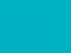 Sovie HORECA Tischset Harmony In Aprikot Aus Linclass® Airlaid 40 X 30 Cm, 100 Stück - Weihnachten Platzset Platzdeckchen -Weihnachten Schmücken Geschäft 865a22ce 64f7 4cc3 a30c 4afb80df2cb0