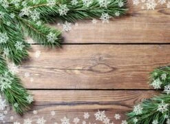 Tischsets | Platzsets – Weihnachten - Tannenzweige Aufsichtig - 12 Stück Aus Premium Papier - Die Besondere Tischdekoration Für Die Weihnachtszeit