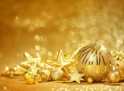 Tischsets | Platzsets - Weihnachten - Zimtsterne Allerlei - 12 Stück Aus Premium Papier - Die Besondere Tischdekoration Für Die Weihnachtszeit -Weihnachten Schmücken Geschäft 92c8e77f c9d1 4ef1 9ed9 661894b087e0 2