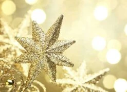 Tischsets | Platzsets - Weihnachten - Geschenk Im Schnee - 12 Stück Aus Premium Papier - Die Besondere Tischdekoration Für Die Weihnachtszeit -Weihnachten Schmücken Geschäft b613bcf1 4238 4b8b b9c7 0c6c5a268946